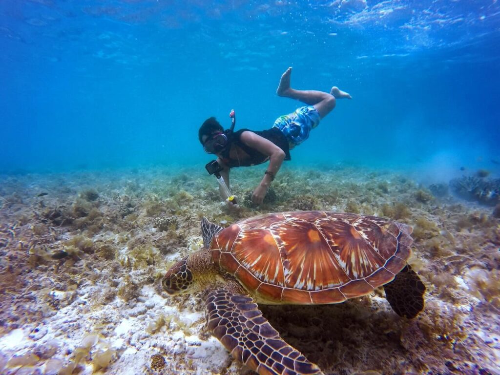 man snorkeling with sea turtle