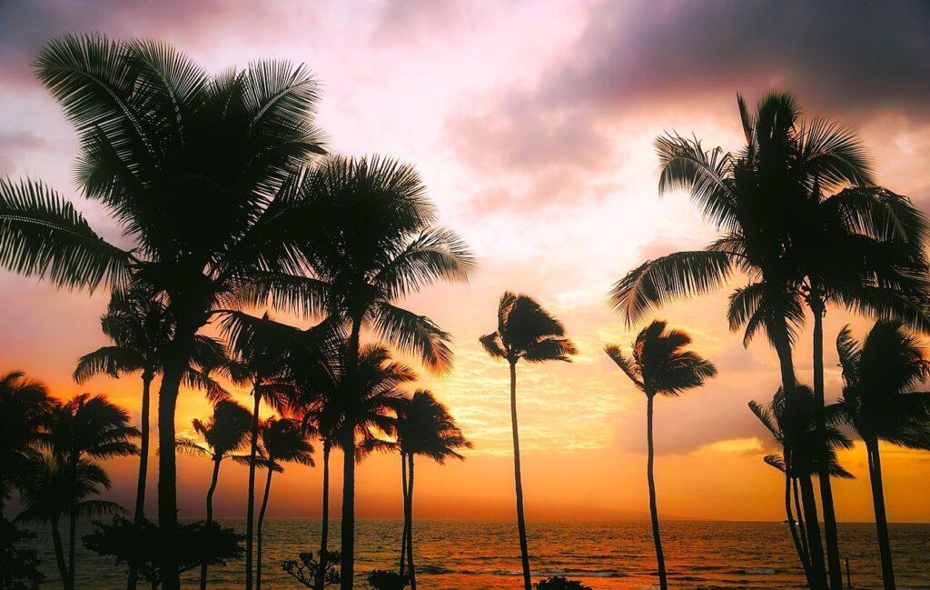 Colorful tropical ocean sunset viewed through palm trees at the beach.